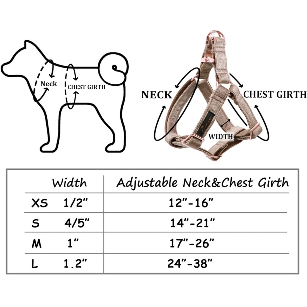 Aring pet harness and leash size small - Picture 2 of 3